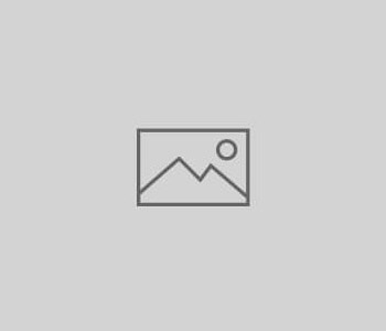 Torphes privacy policy